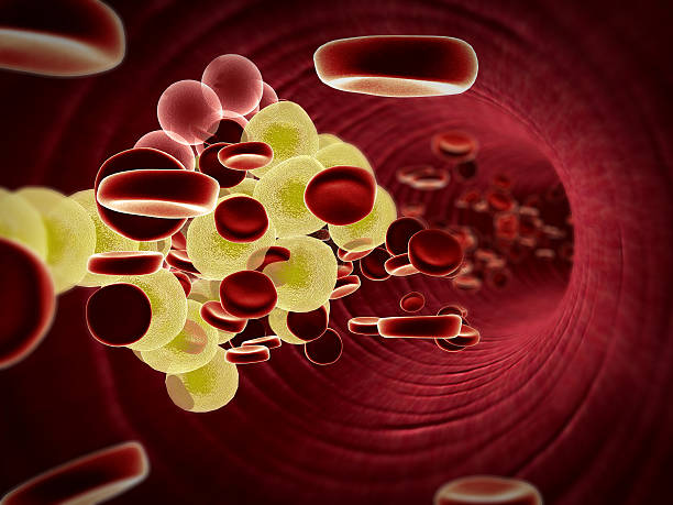 istockphoto 490635374 612x612